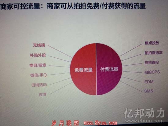 拍拍网招商