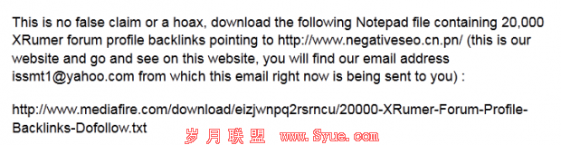 负面SEO SEO敲诈 谷歌搜索引擎 网站SEO