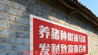 盯上8亿农民钱包 电商、互联网公司大战农村墙体