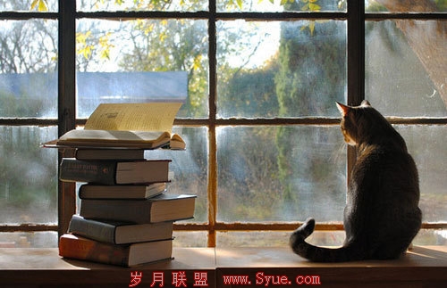 学习与人脉