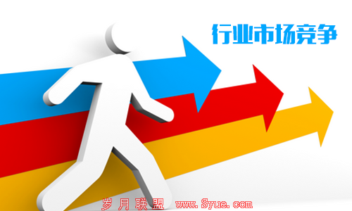 行业市场竞争