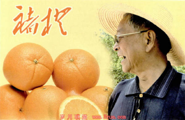 坤鹏论:在这个品牌人性化有温度的时代 如何打造你的自品牌-自媒体|坤鹏论