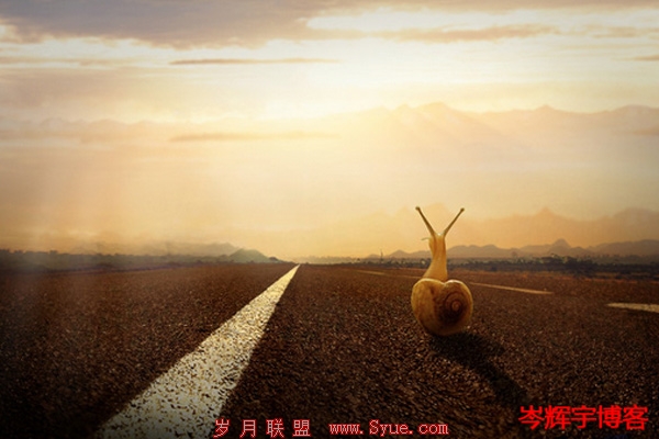 SEO日暮途穷?做好几点实现华丽蜕变 第二张