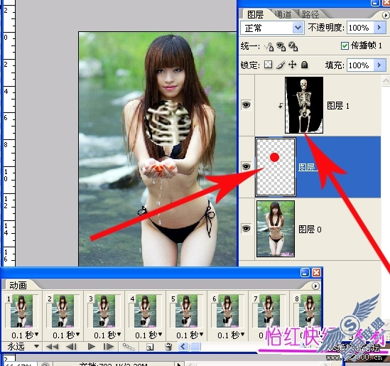 ʵPhotoshopɰӦ
