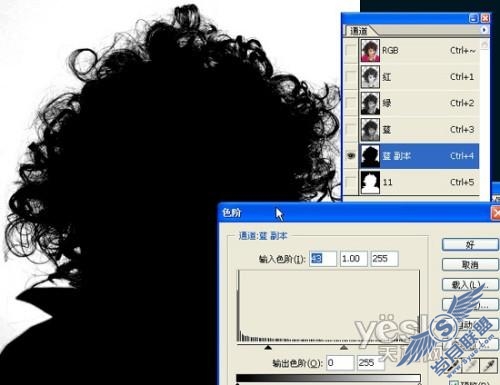 Photoshop抠图教程：抠出MM漂亮的大卷烫发(2)