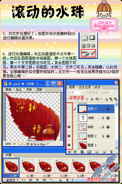 PhotoShop̳:ˮϹGIF