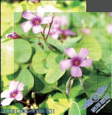 Photoshop制作网站首页(1):网站首页的主体部分_转载:建站学www.jzxue.com