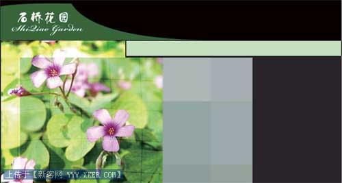 Photoshop制作网站首页(1):网站首页的主体部分_转载:建站学www.jzxue.com