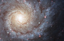 No perfect universe