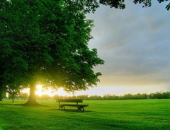 Good-Morning