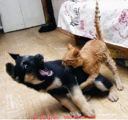 /