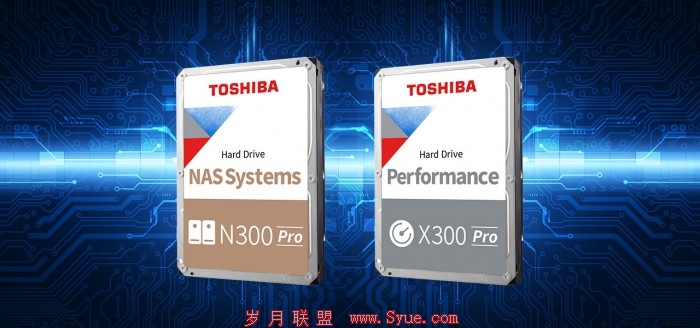 Toshiba N300 Pro X300 Pro.jpg